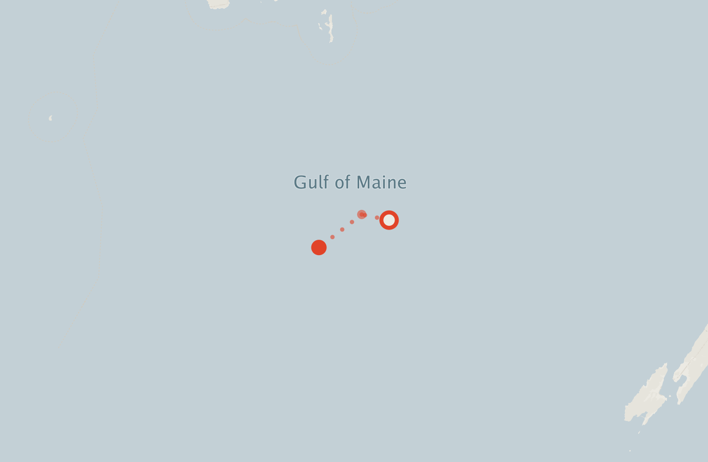Activity map — real sighting points on an OpenStreetMap basemap