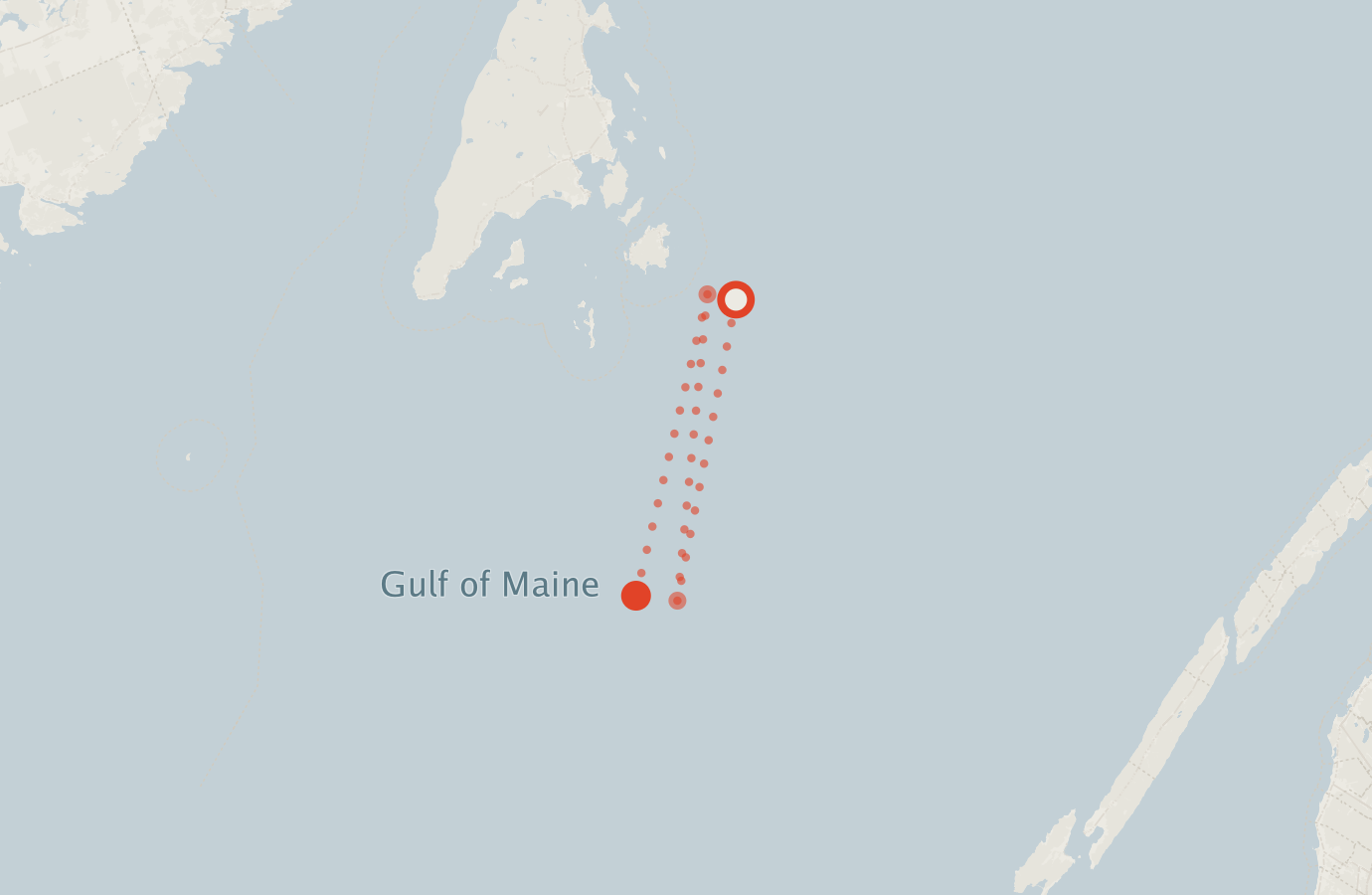 Activity map — real sighting points on an OpenStreetMap basemap
