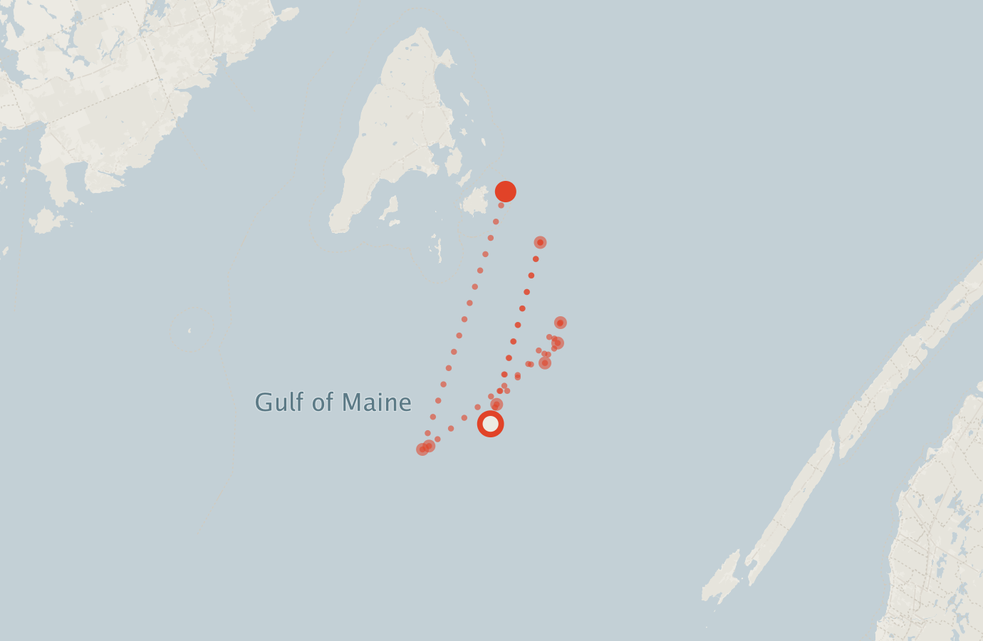 Activity map — real sighting points on an OpenStreetMap basemap