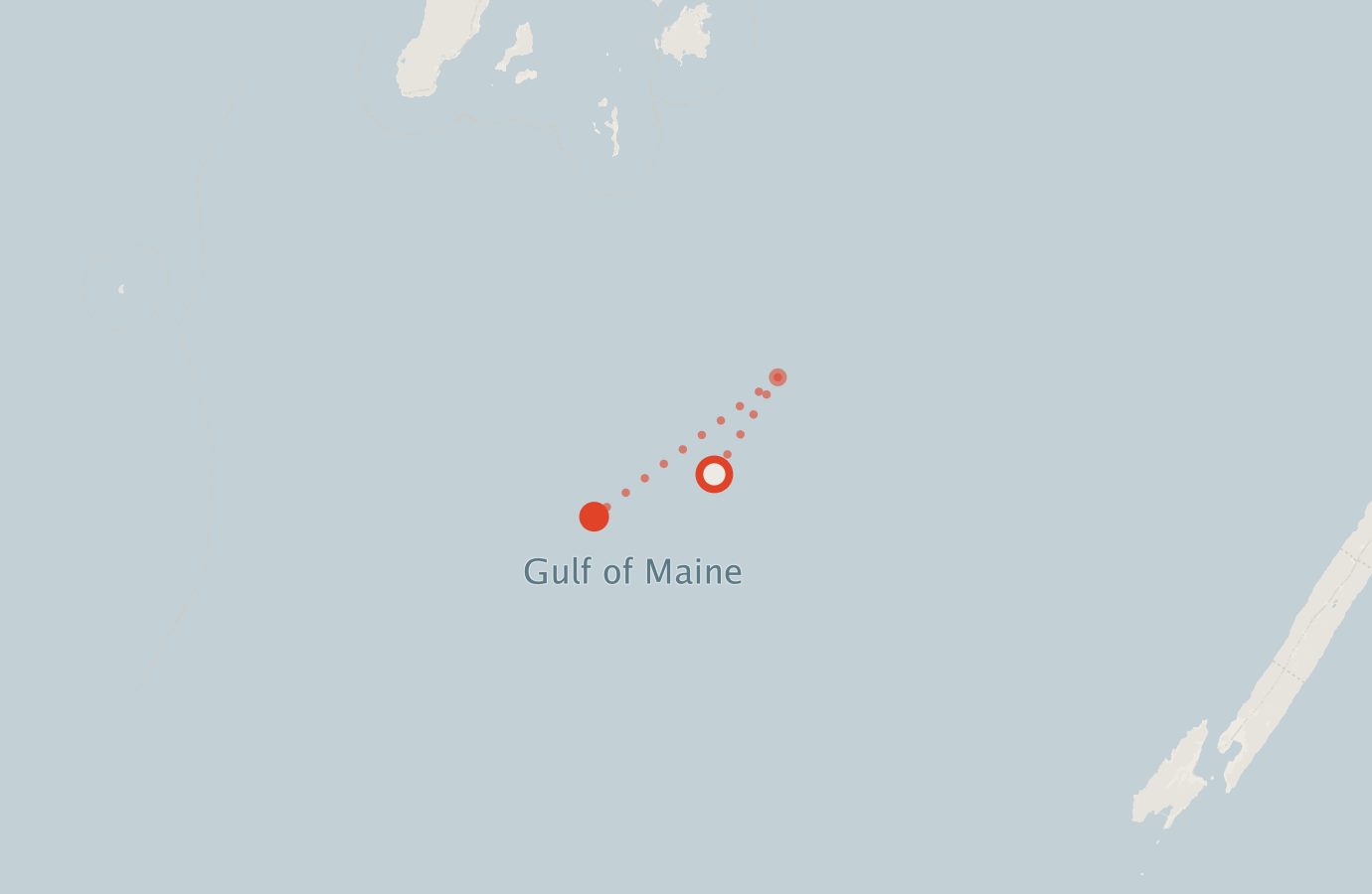 Activity map — real sighting points on an OpenStreetMap basemap