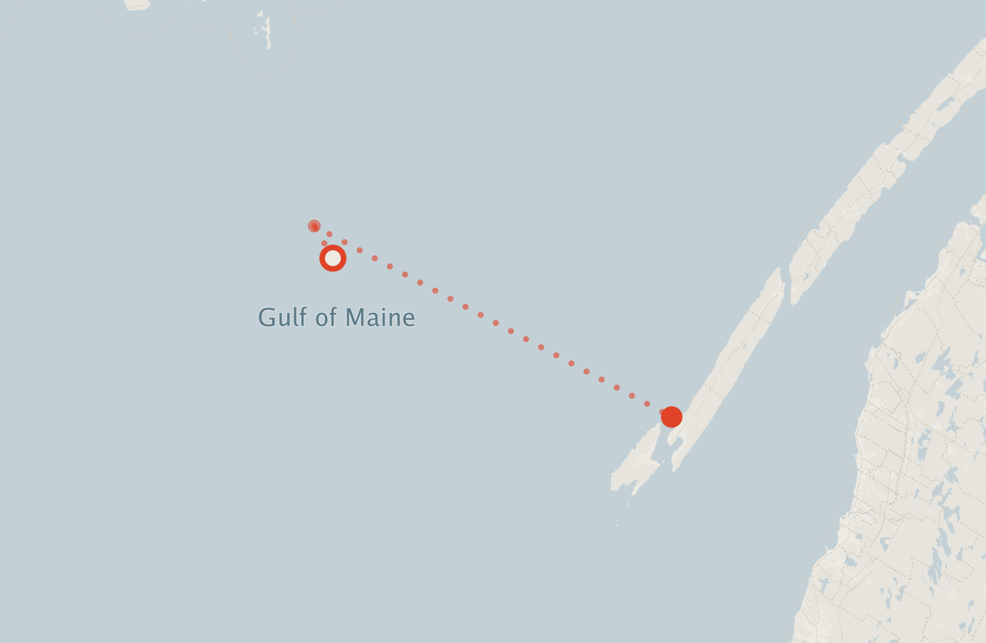 Activity map — real sighting points on an OpenStreetMap basemap