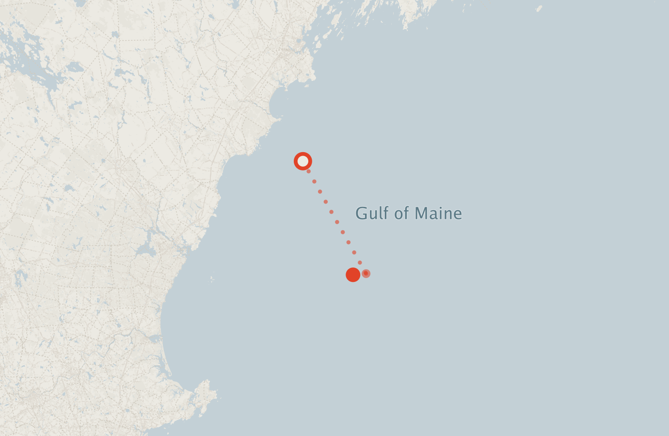 Activity map — real sighting points on an OpenStreetMap basemap