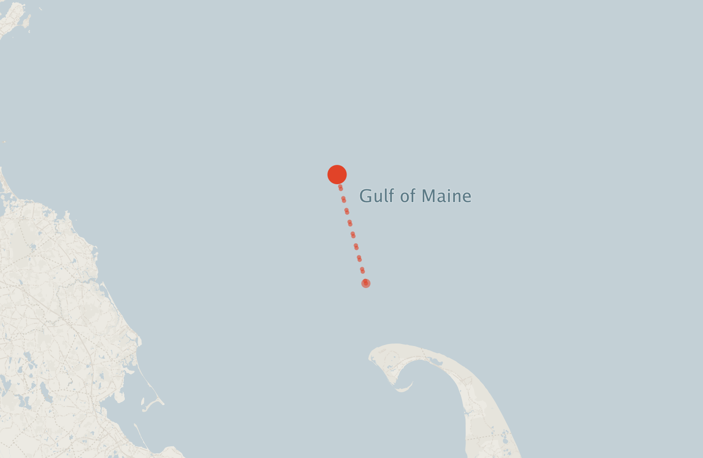 Activity map — real sighting points on an OpenStreetMap basemap