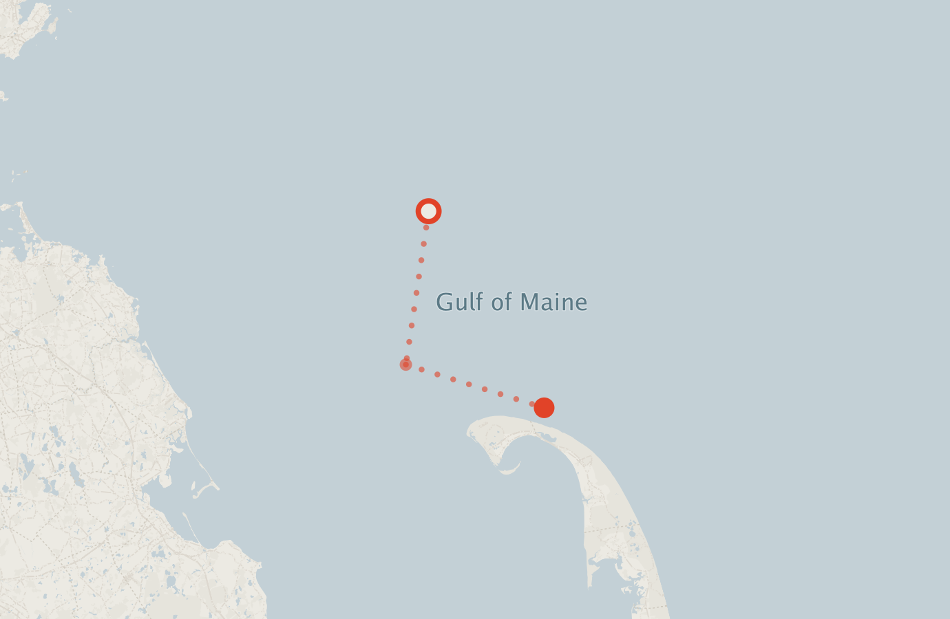 Activity map — real sighting points on an OpenStreetMap basemap
