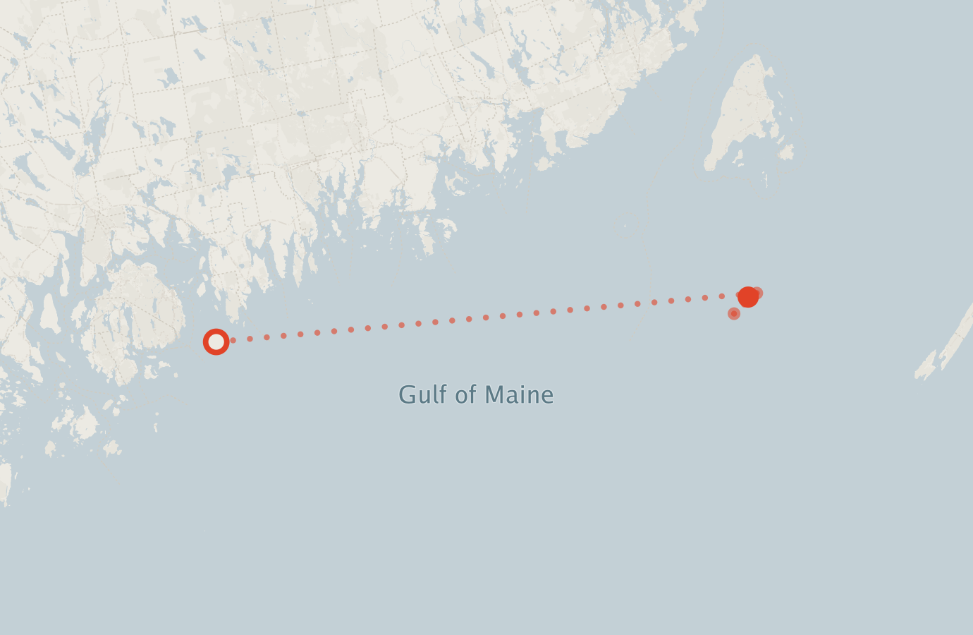 Activity map — real sighting points on an OpenStreetMap basemap