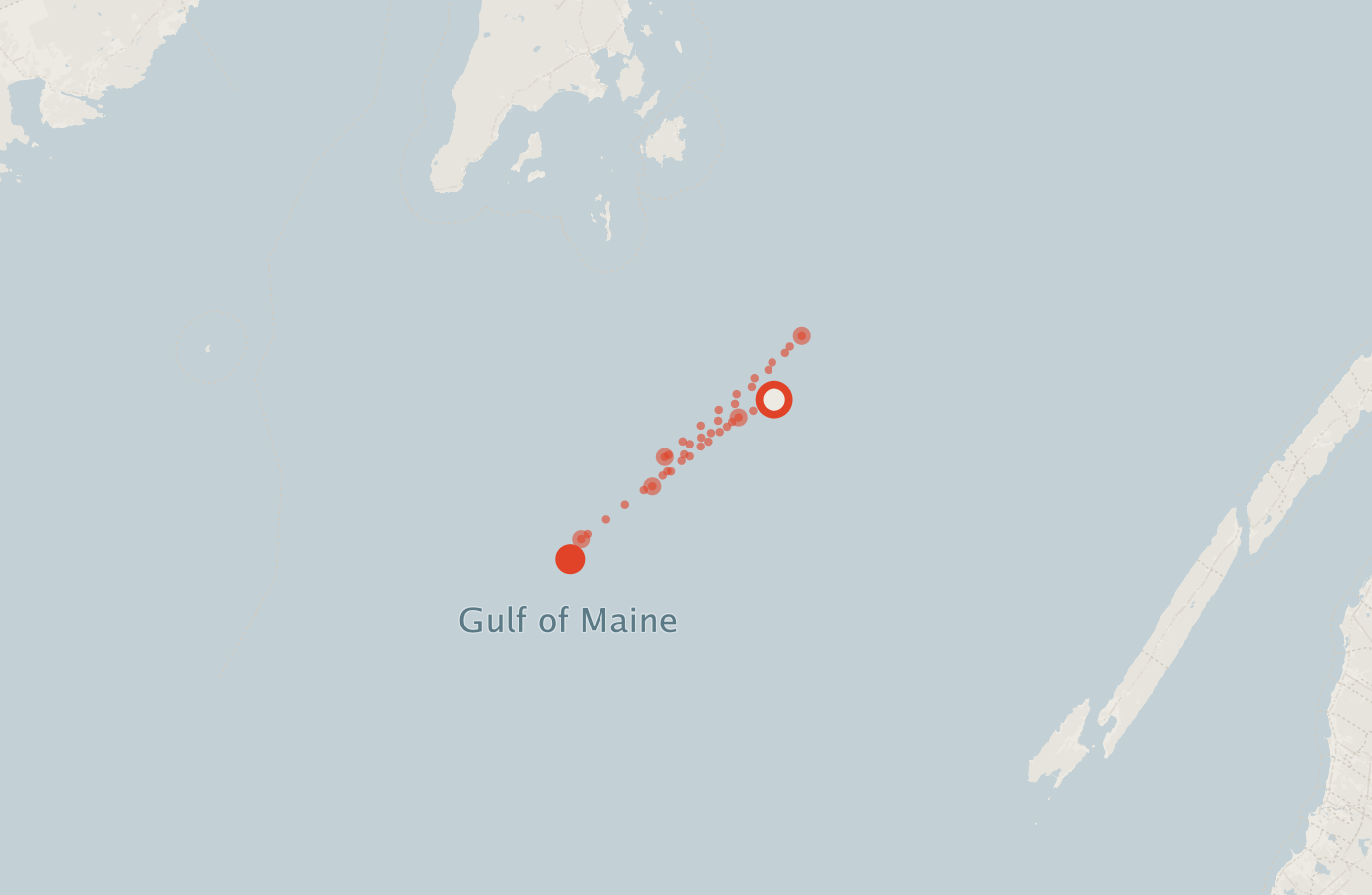 Activity map — real sighting points on an OpenStreetMap basemap