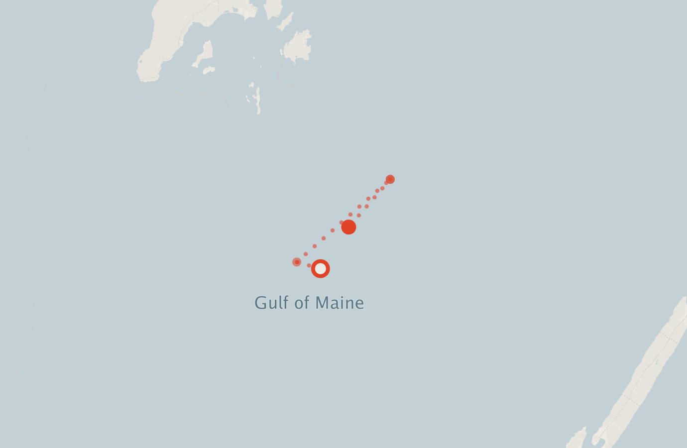 Activity map — real sighting points on an OpenStreetMap basemap