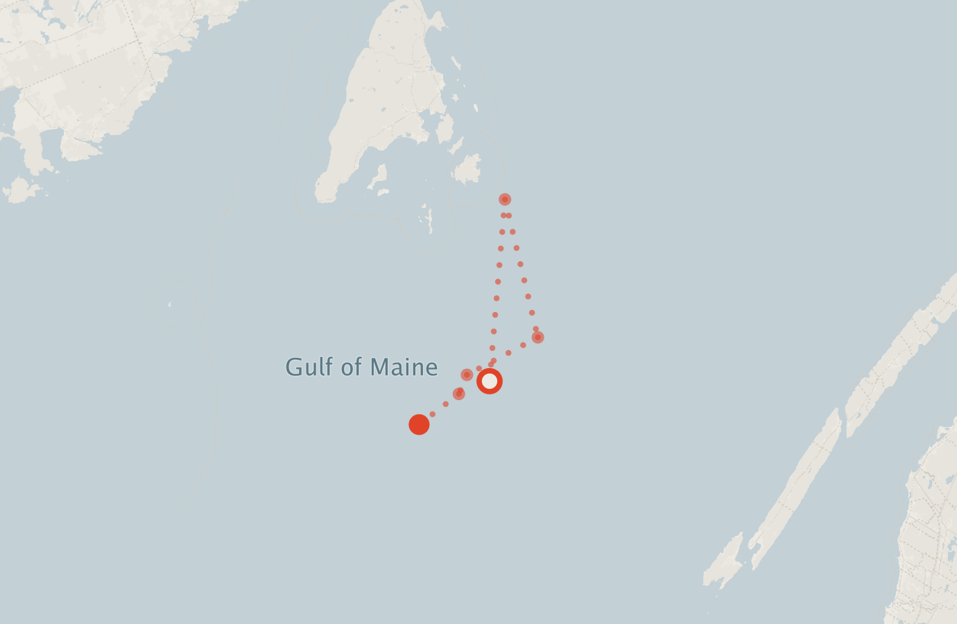 Activity map — real sighting points on an OpenStreetMap basemap