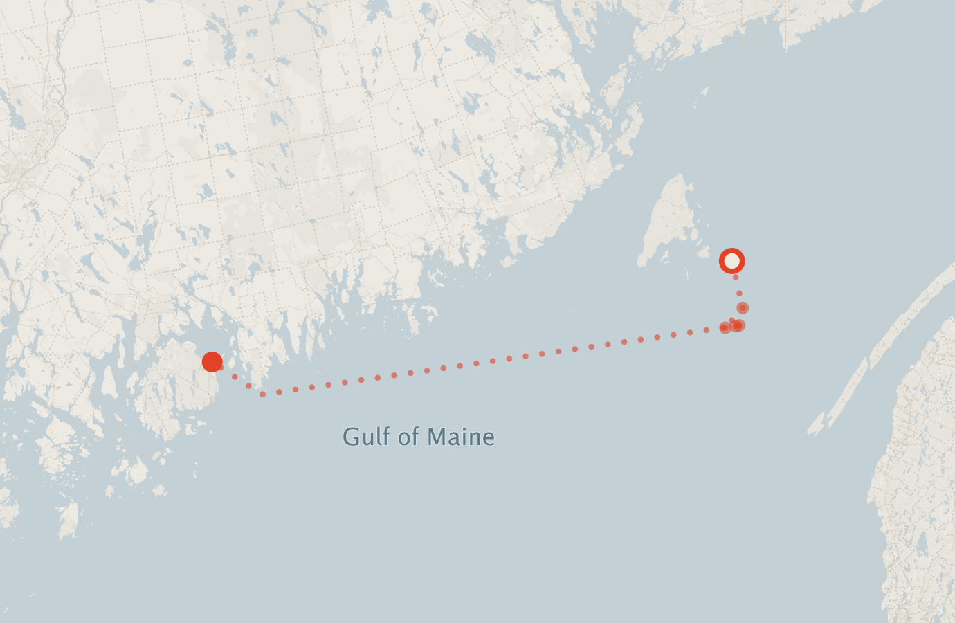 Activity map — real sighting points on an OpenStreetMap basemap