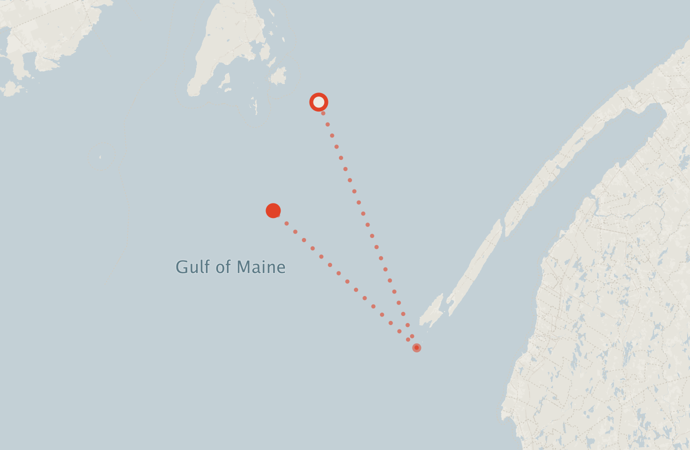 Activity map — real sighting points on an OpenStreetMap basemap