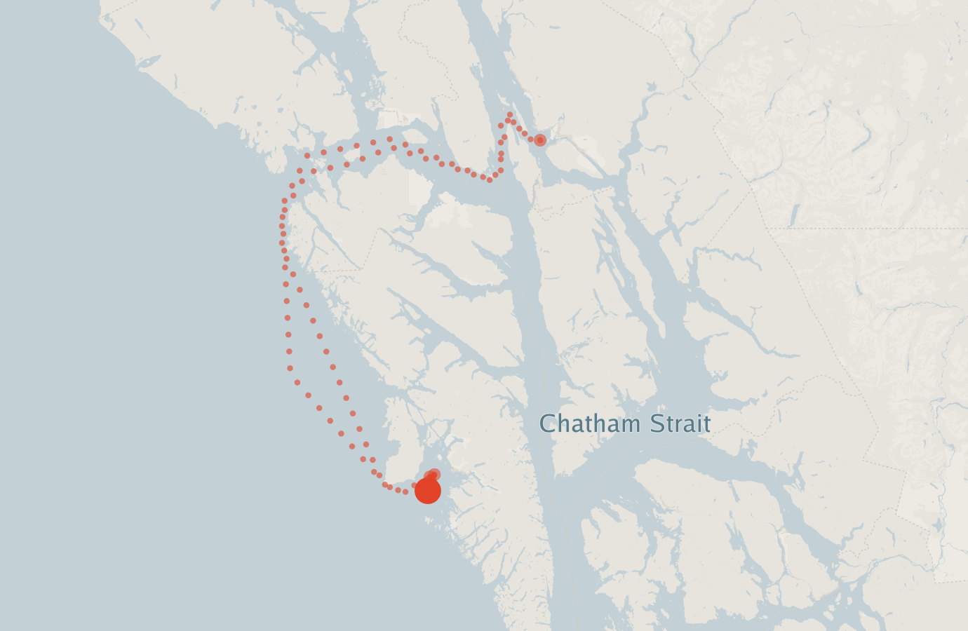 Activity map — real sighting points on an OpenStreetMap basemap
