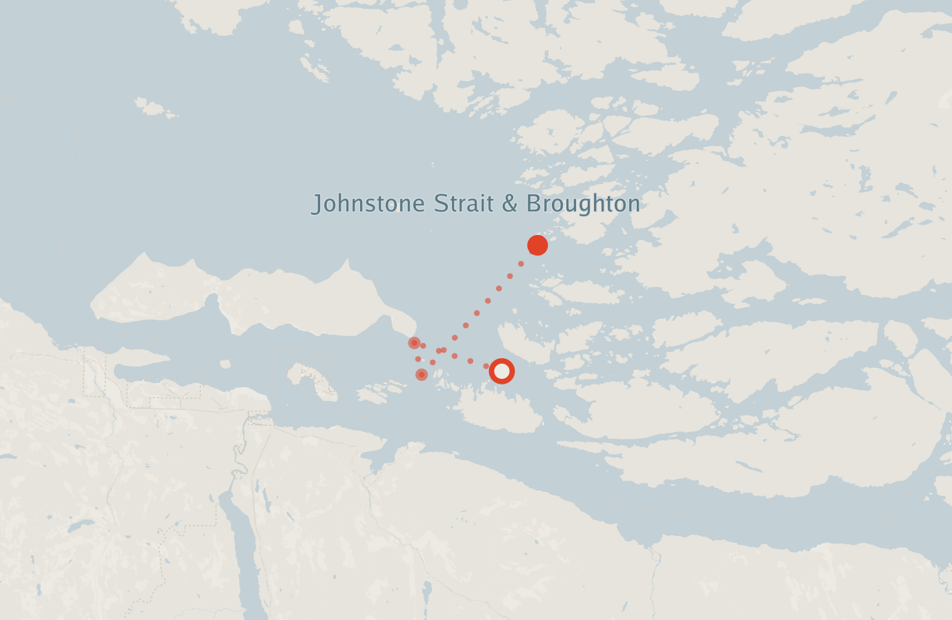 Activity map — real sighting points on an OpenStreetMap basemap