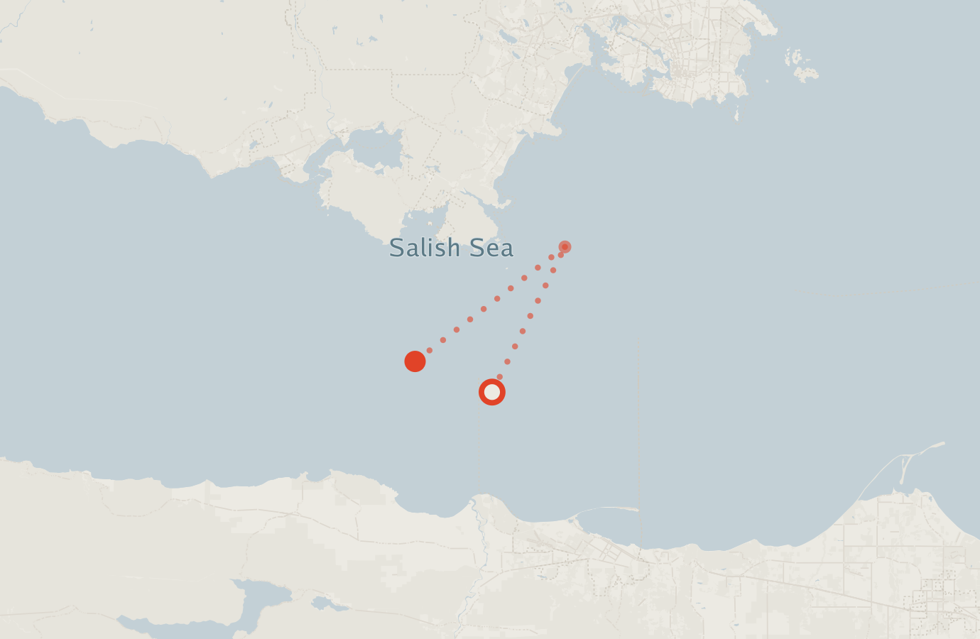 Activity map — real sighting points on an OpenStreetMap basemap