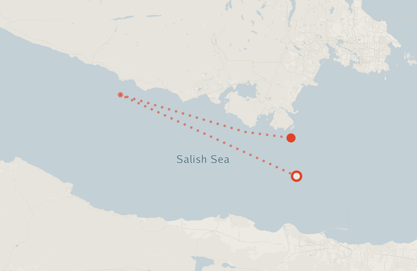 Activity map — real sighting points on an OpenStreetMap basemap