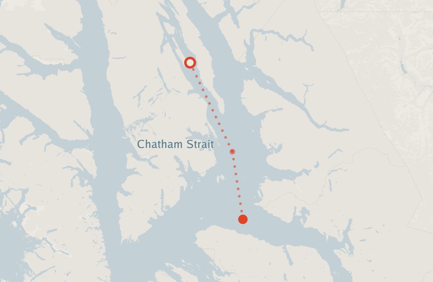 Activity map — real sighting points on an OpenStreetMap basemap