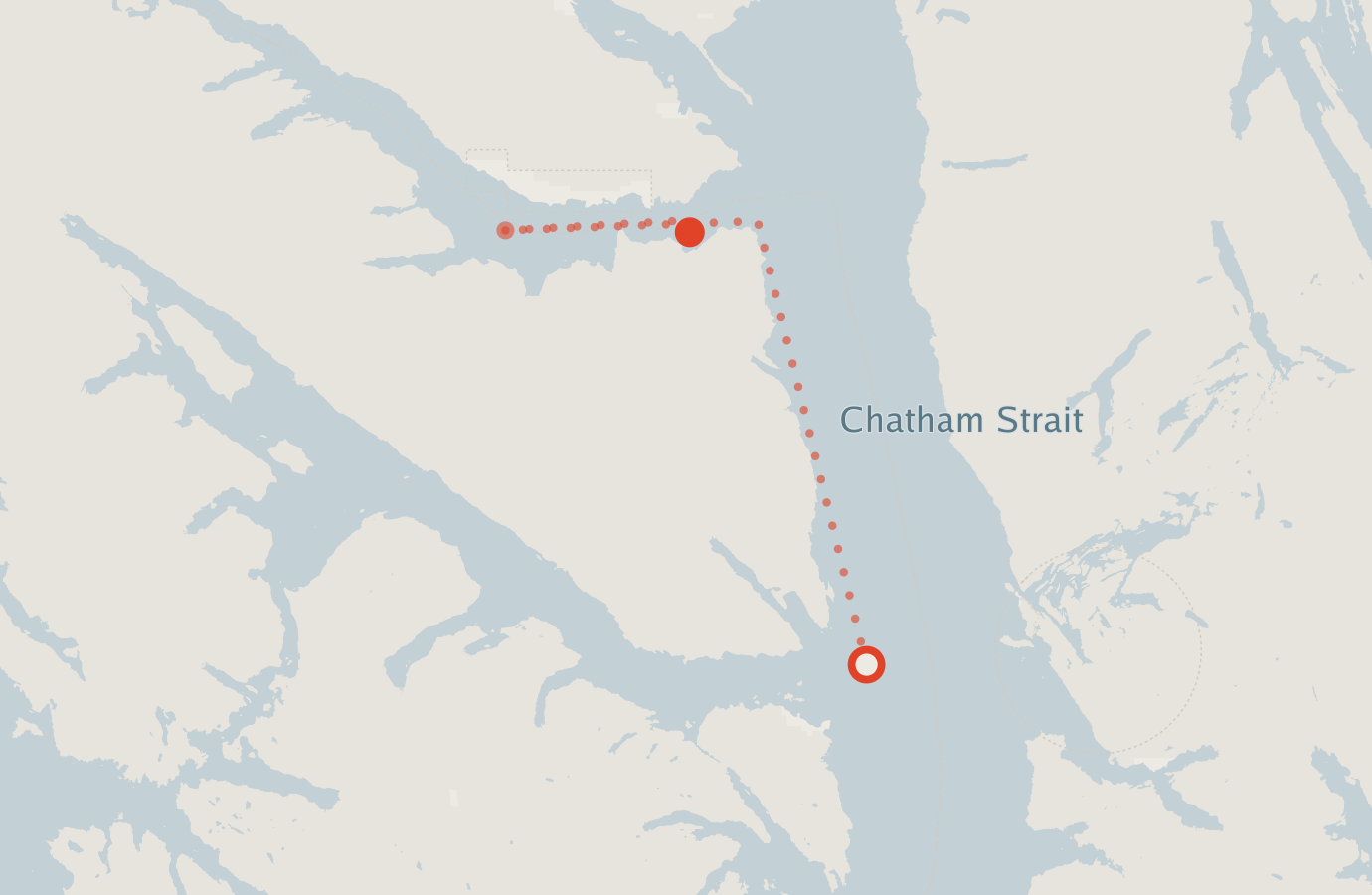 Activity map — real sighting points on an OpenStreetMap basemap