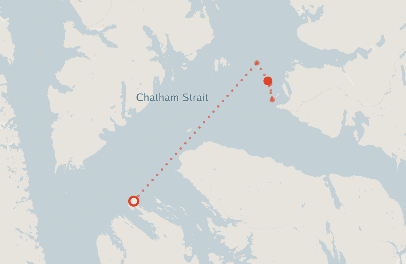 Activity map — real sighting points on an OpenStreetMap basemap