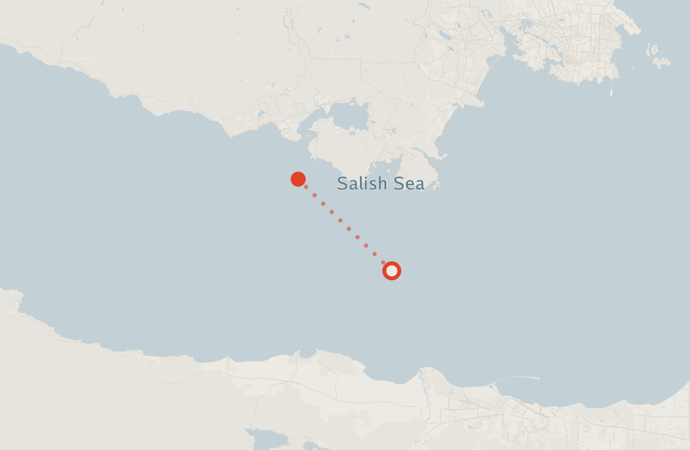 Activity map — real sighting points on an OpenStreetMap basemap
