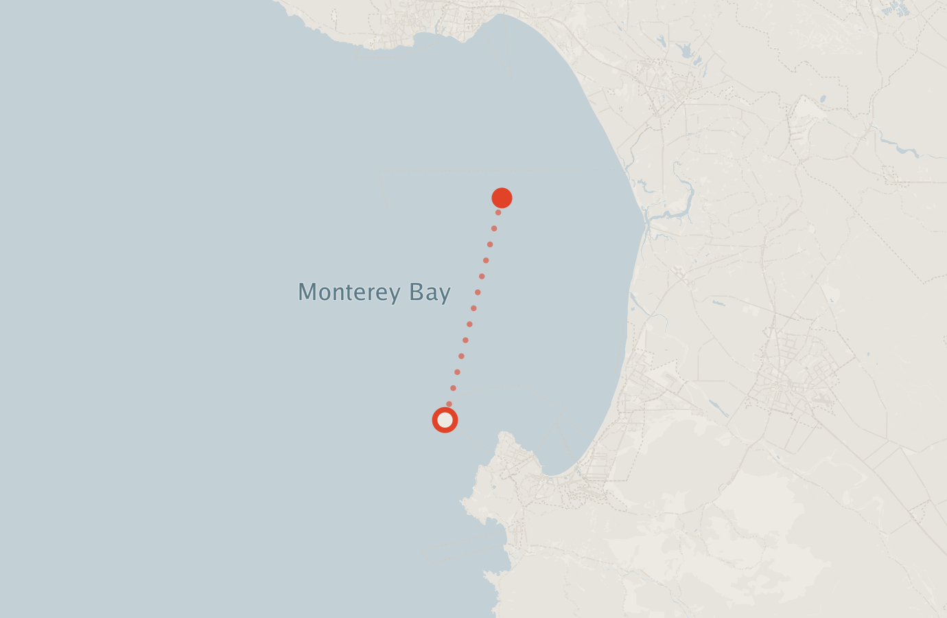 Activity map — real sighting points on an OpenStreetMap basemap
