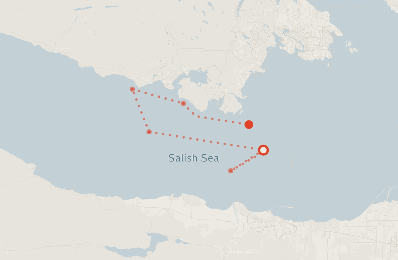Activity map — real sighting points on an OpenStreetMap basemap