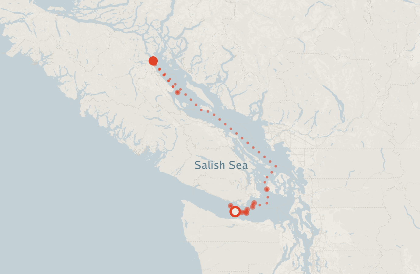 Activity map — real sighting points on an OpenStreetMap basemap