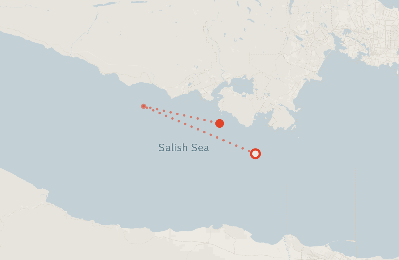Activity map — real sighting points on an OpenStreetMap basemap