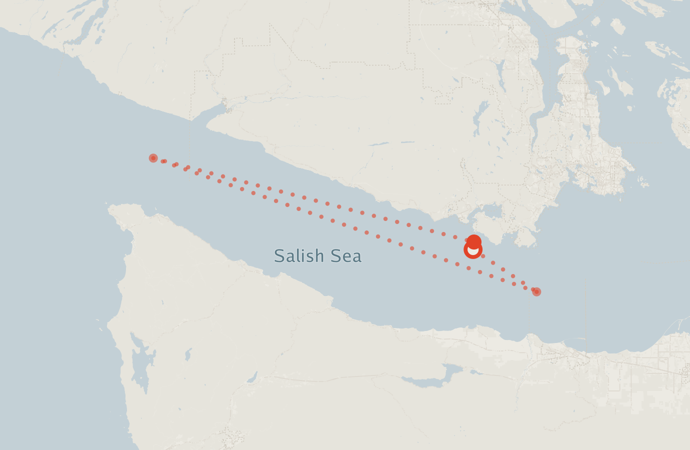 Activity map — real sighting points on an OpenStreetMap basemap