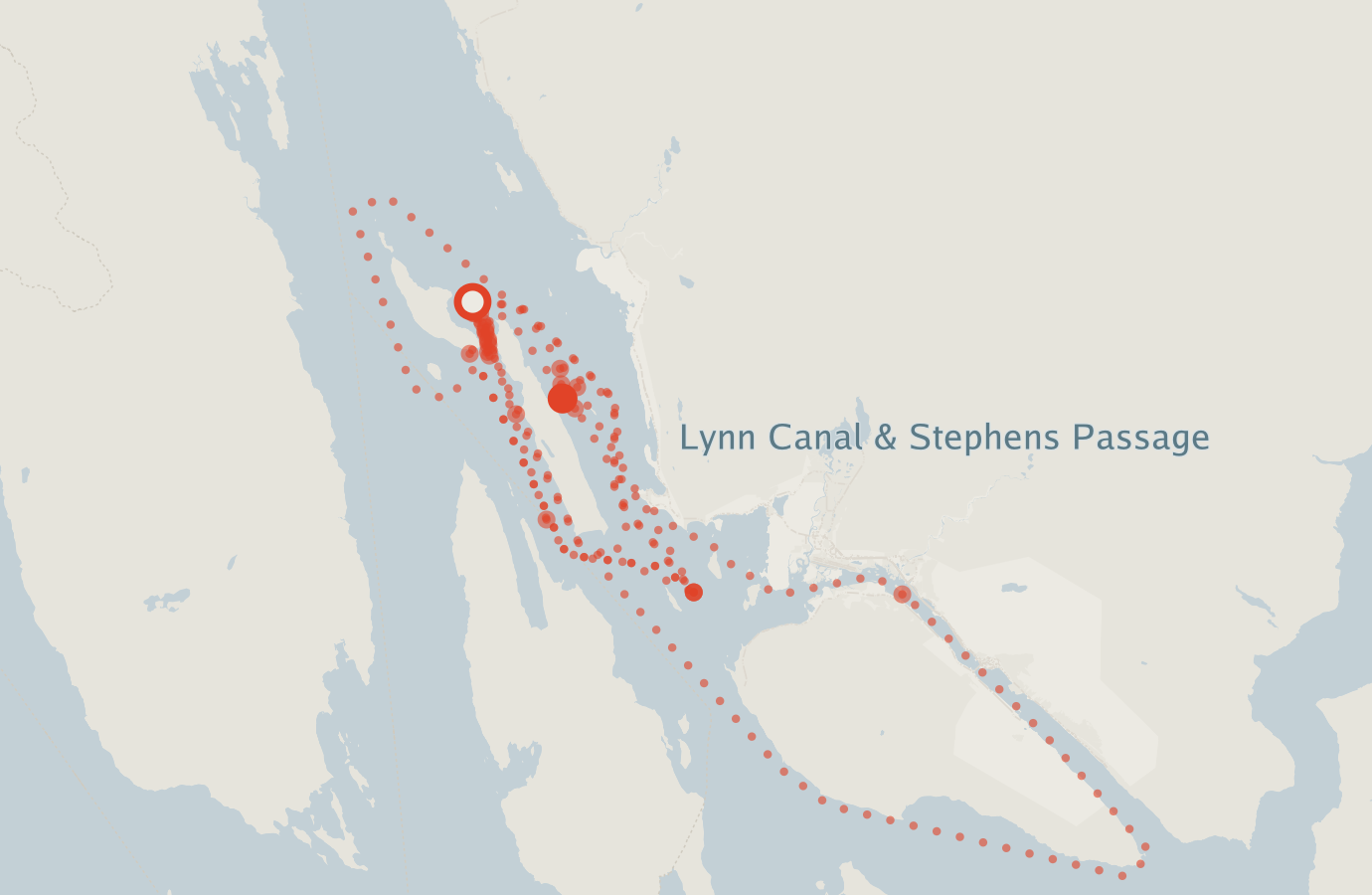 Activity map — real sighting points on an OpenStreetMap basemap