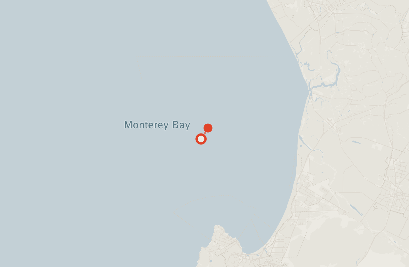 Activity map — real sighting points on an OpenStreetMap basemap