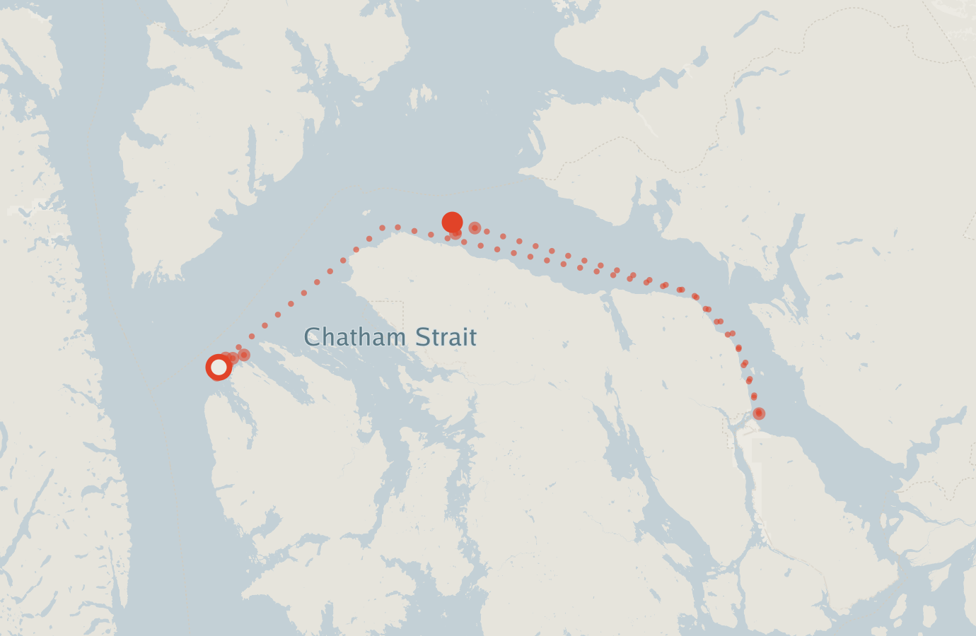 Activity map — real sighting points on an OpenStreetMap basemap