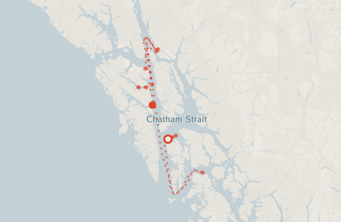 Activity map — real sighting points on an OpenStreetMap basemap