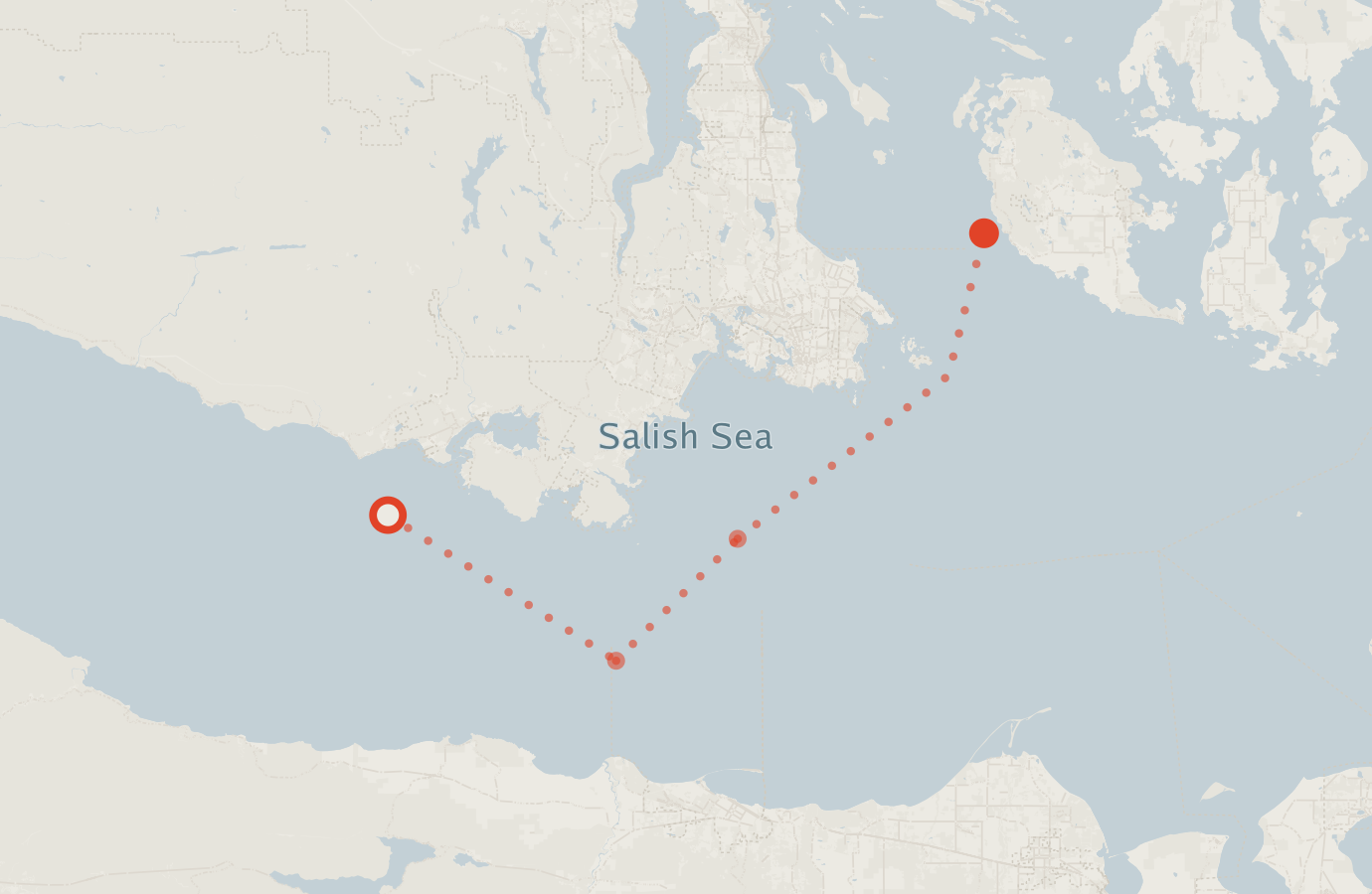 Activity map — real sighting points on an OpenStreetMap basemap