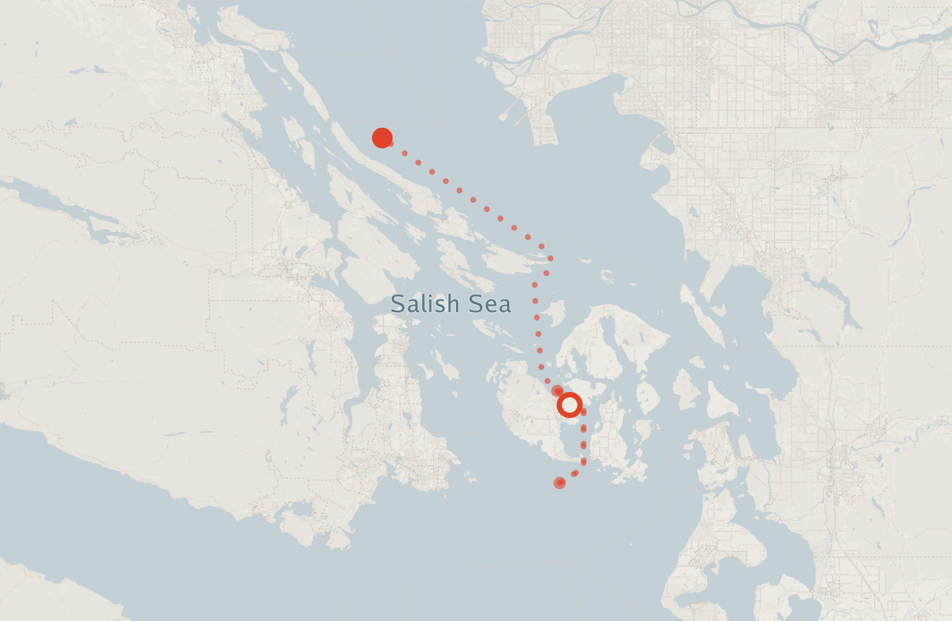 Activity map — real sighting points on an OpenStreetMap basemap