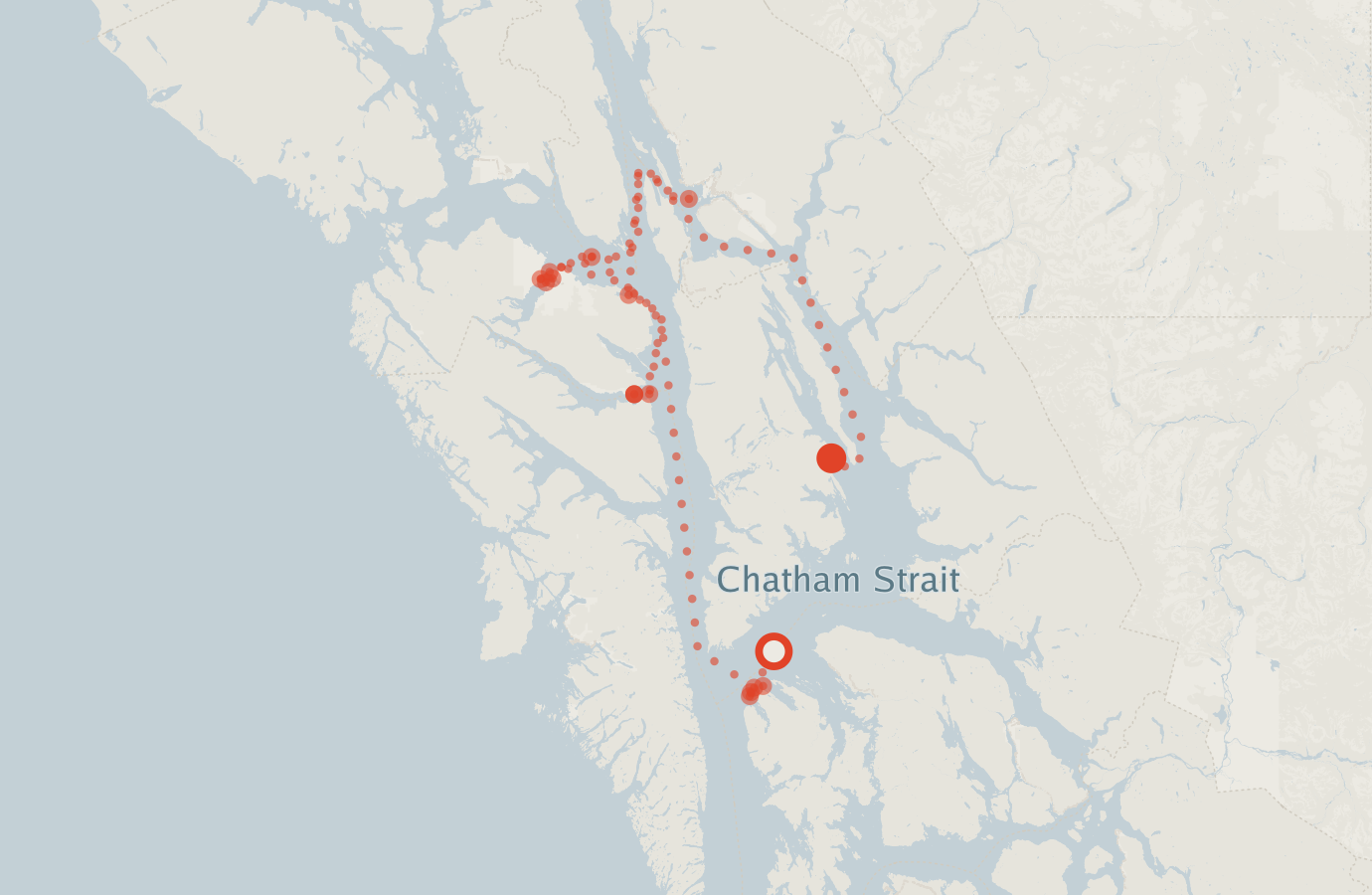 Activity map — real sighting points on an OpenStreetMap basemap