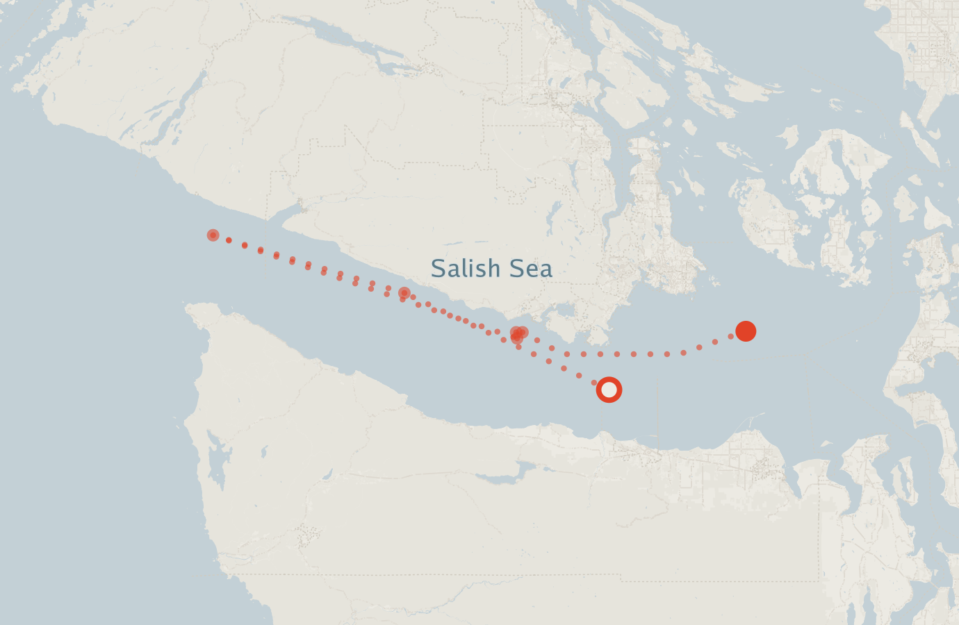 Activity map — real sighting points on an OpenStreetMap basemap