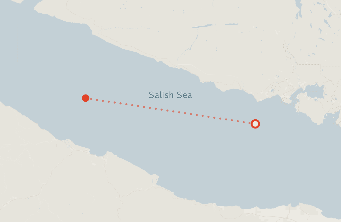 Activity map — real sighting points on an OpenStreetMap basemap