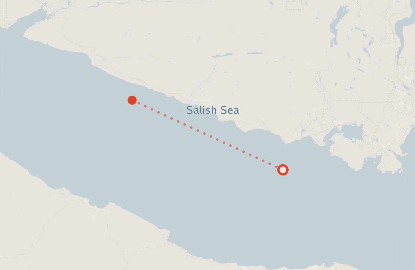 Activity map — real sighting points on an OpenStreetMap basemap
