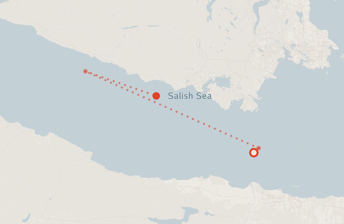 Activity map — real sighting points on an OpenStreetMap basemap