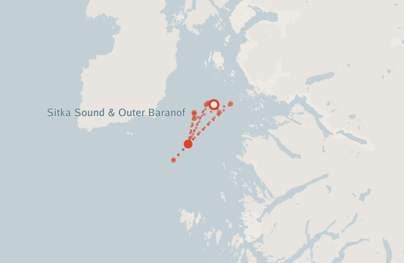 Activity map — real sighting points on an OpenStreetMap basemap