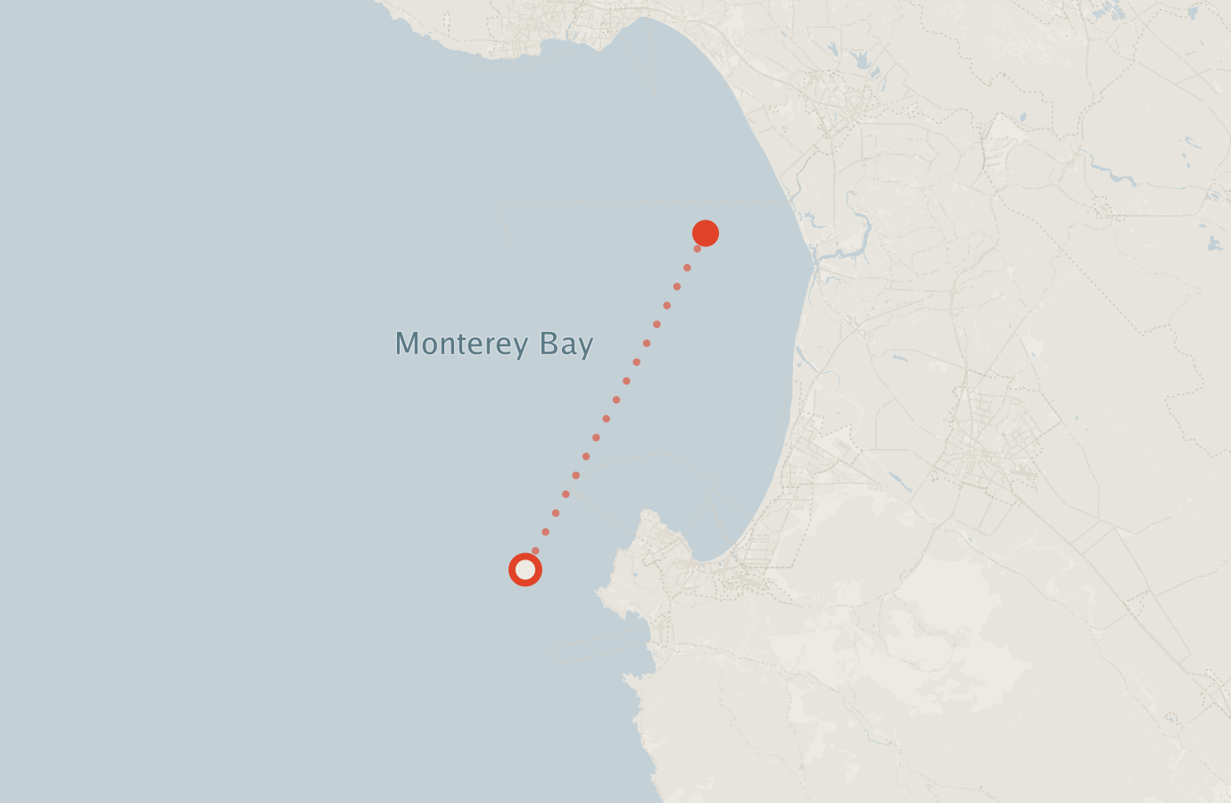 Activity map — real sighting points on an OpenStreetMap basemap