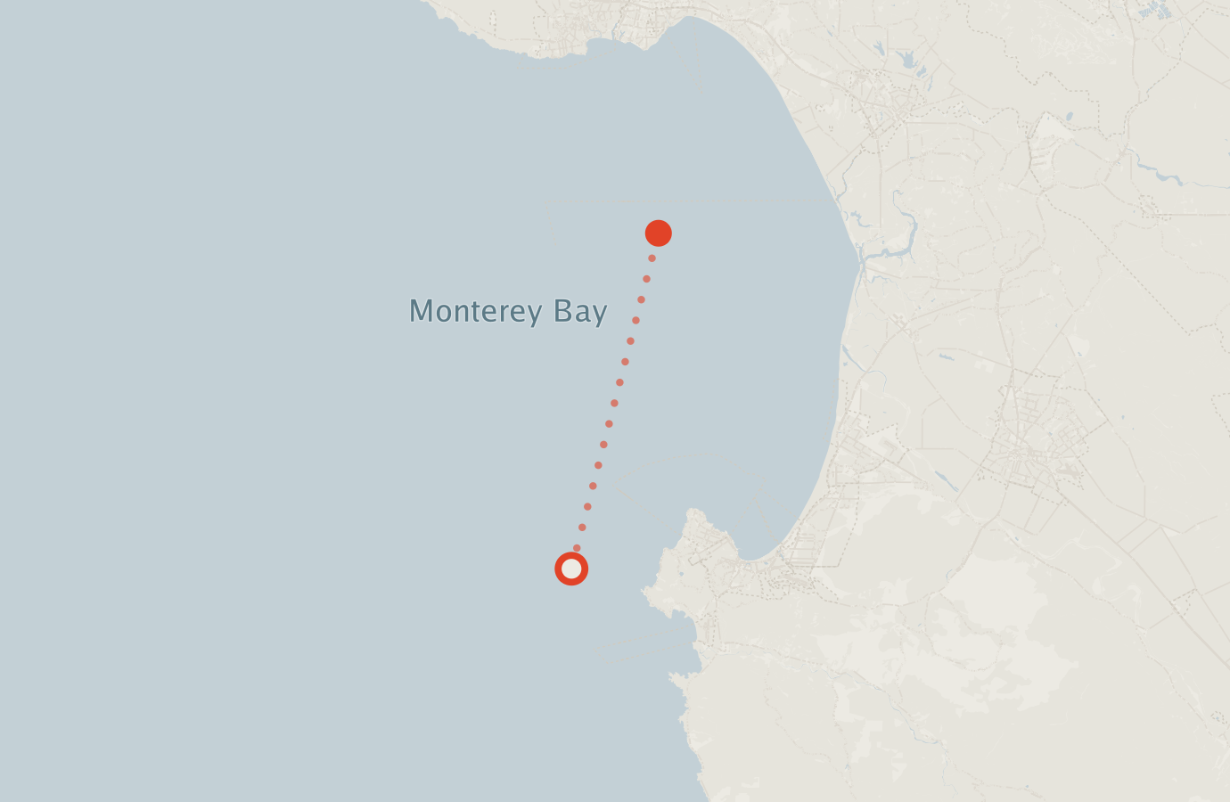 Activity map — real sighting points on an OpenStreetMap basemap