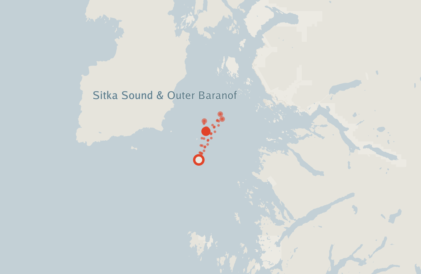 Activity map — real sighting points on an OpenStreetMap basemap