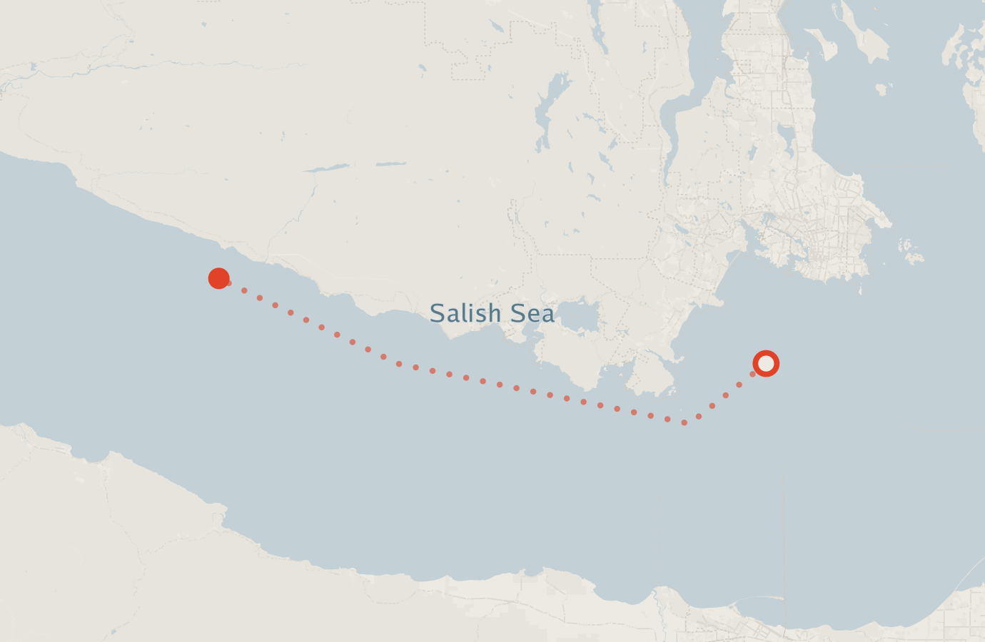 Activity map — real sighting points on an OpenStreetMap basemap
