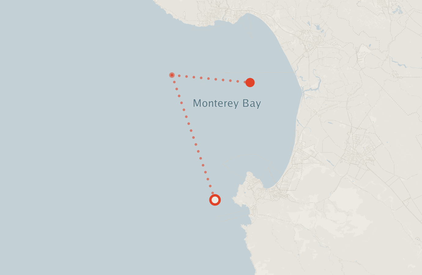 Activity map — real sighting points on an OpenStreetMap basemap