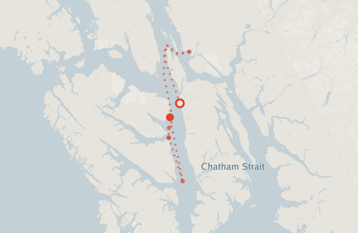 Activity map — real sighting points on an OpenStreetMap basemap