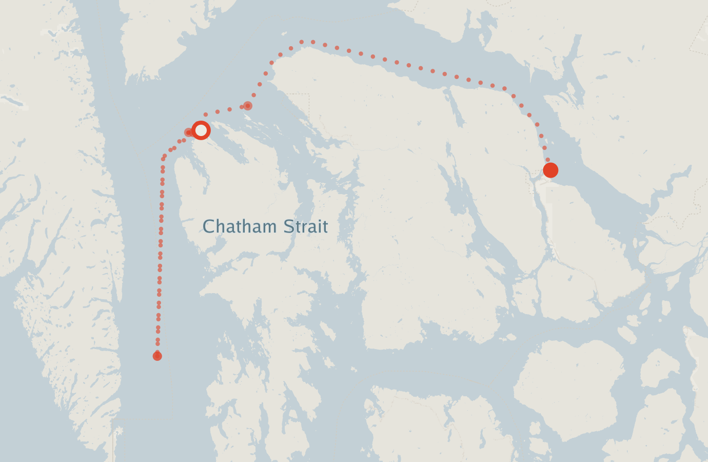 Activity map — real sighting points on an OpenStreetMap basemap