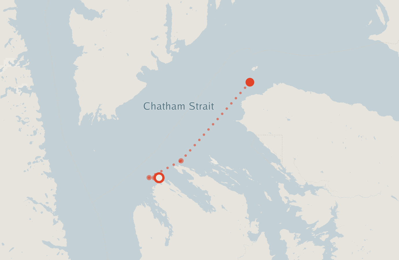 Activity map — real sighting points on an OpenStreetMap basemap