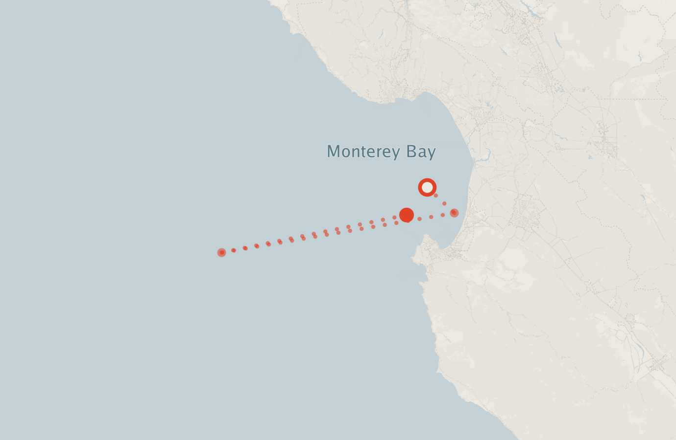 Activity map — real sighting points on an OpenStreetMap basemap