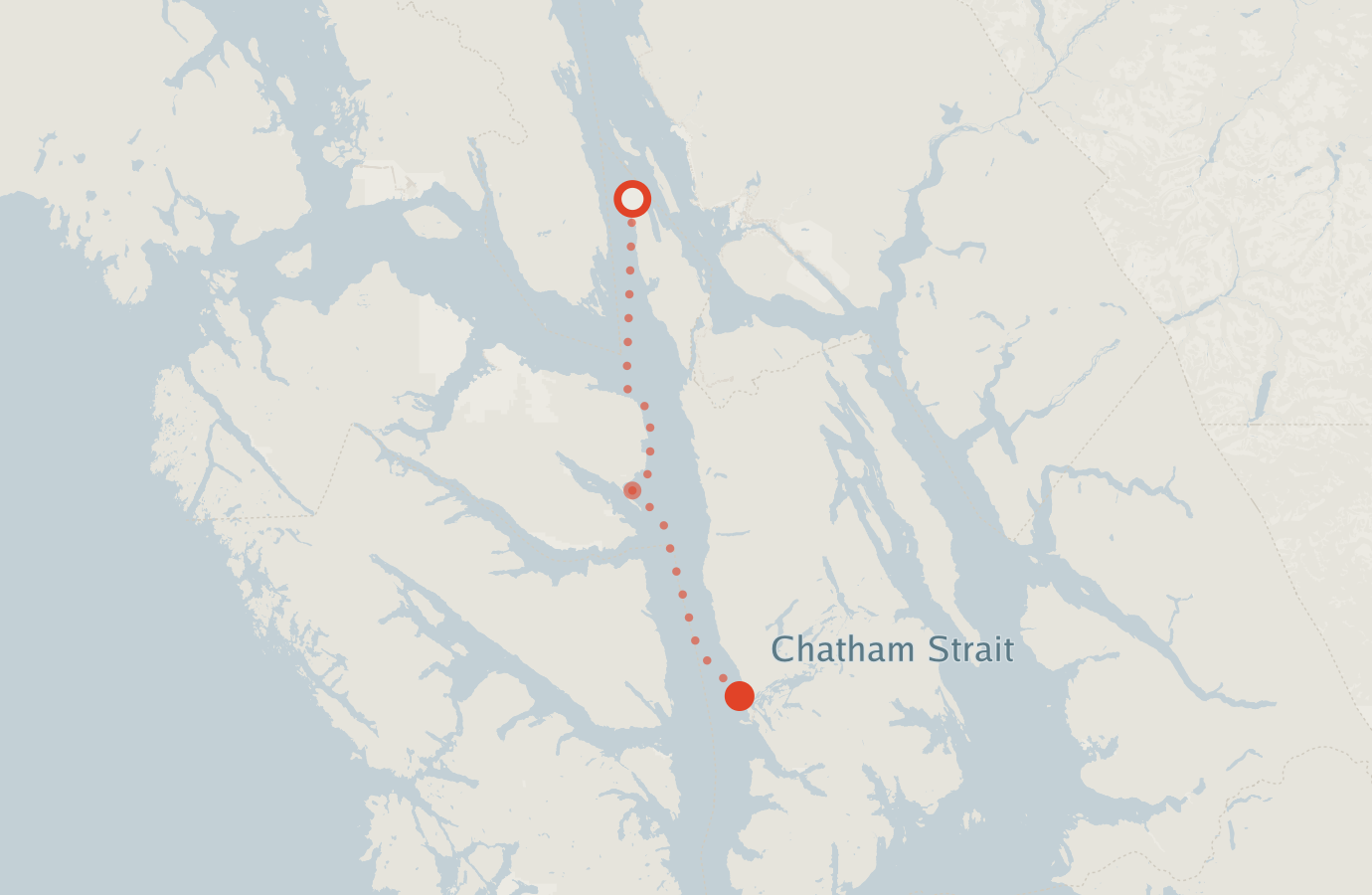 Activity map — real sighting points on an OpenStreetMap basemap