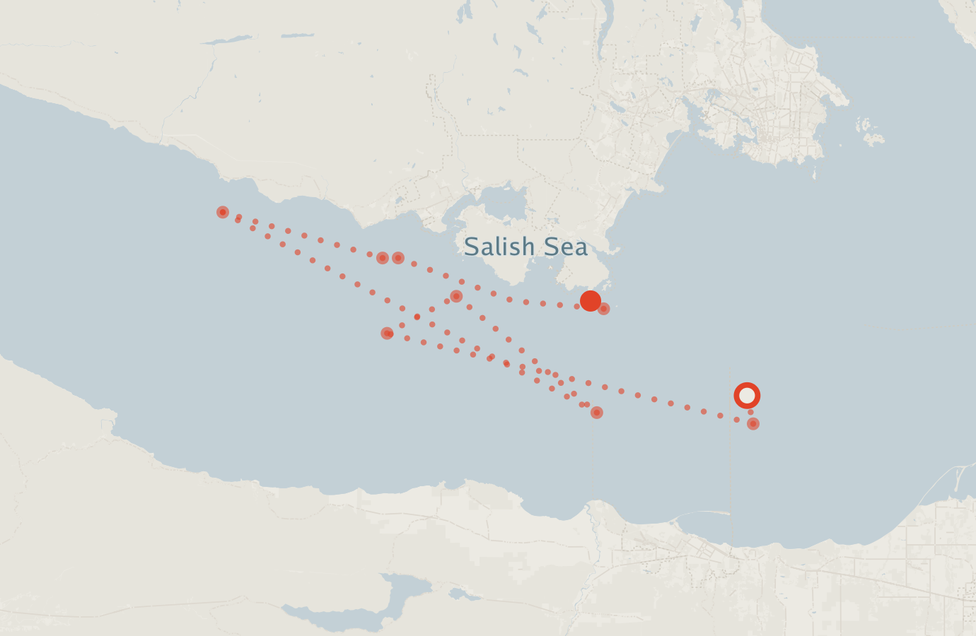 Activity map — real sighting points on an OpenStreetMap basemap